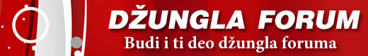Dzungla Forum